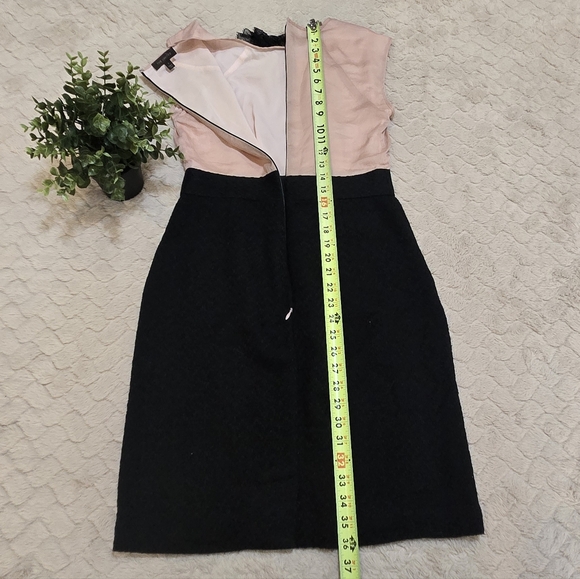 The Limited Pink & Black Colorblock Lace Pleated Bib Office Dress, Size 2 - Picture 4 of 10